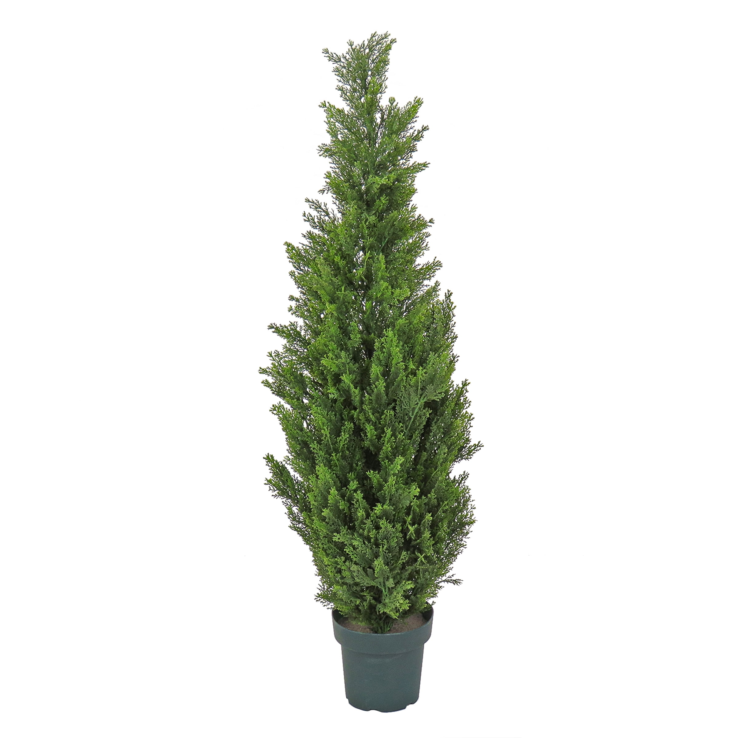 48 Inch Arborvitae Tree in Dark Green Round Plastic Pot Christmas Item 
