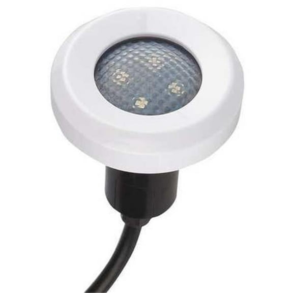 Treo LED Light