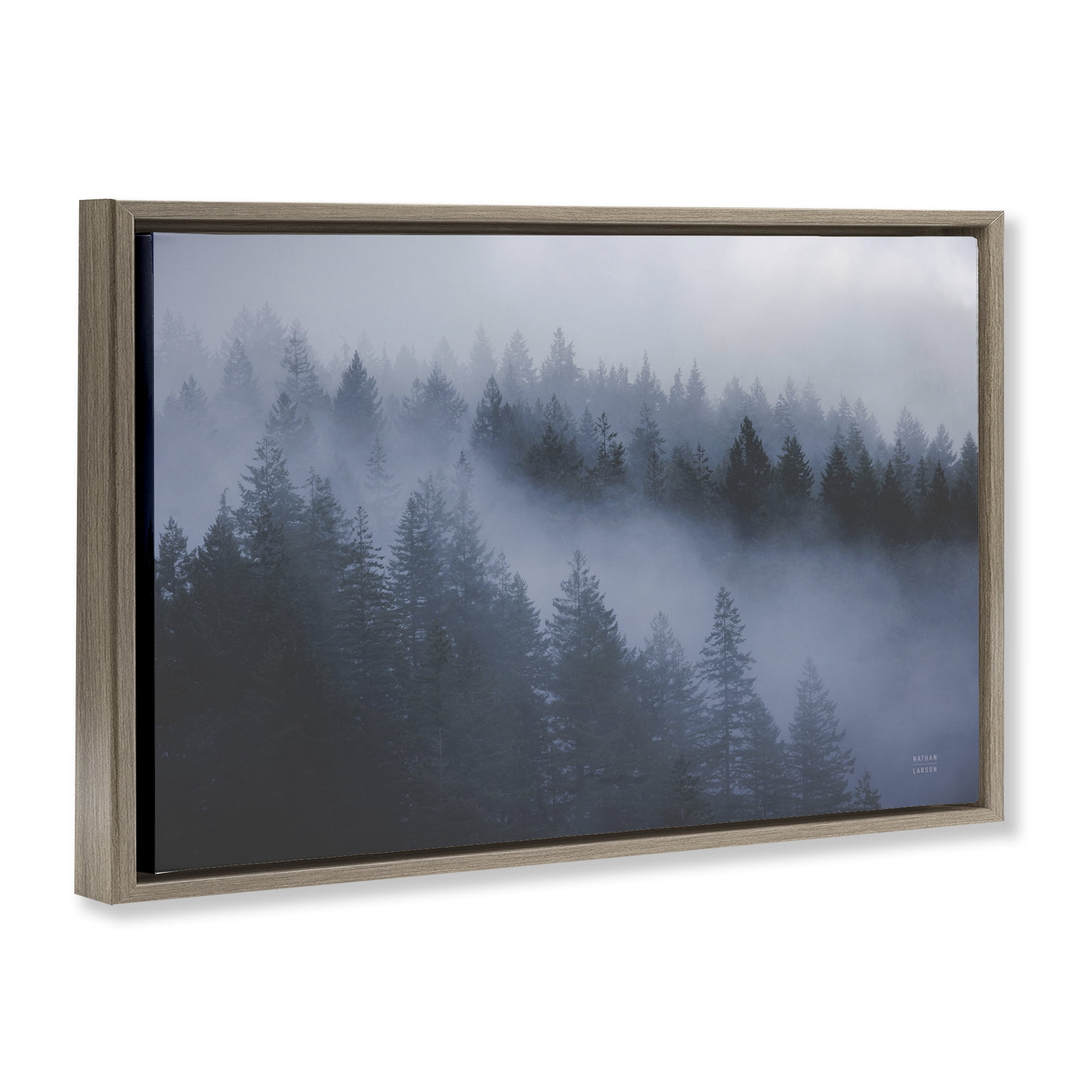 Stupell Industries Fog Filled Trees Landscape Landscape & Nature Photography Brown Floater Framed Canvas Art Print Wall Art, 31 x 21