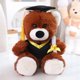 thumbnail image 3 of 2024 NUEVOS muñecos de peluche para graduados, doctor capibara, búho, oso de peluche, lindo muñeco de peluche, almohada de dibujos animados suave, regalo de graduación, 3 of 5