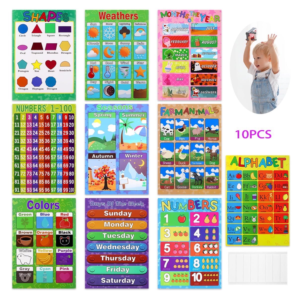 Educational Preschool Poster for Toddler and Kid with Glue Point 12 Pieces 