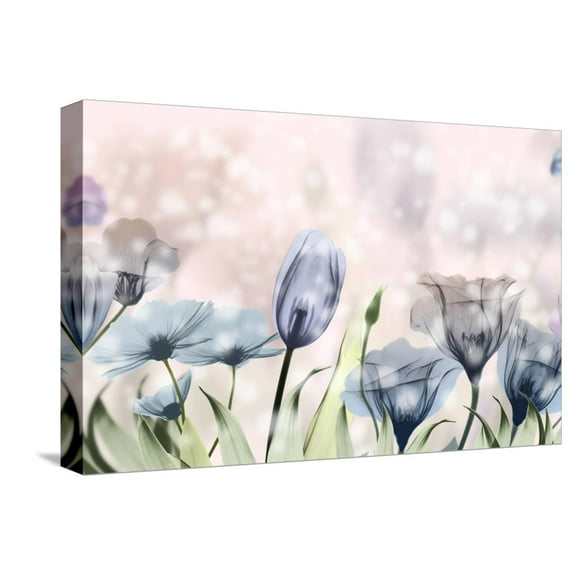 Art.com Garden Of Wonders 1 Stretched Canvas Print Wall Art by Albert Koetsier, 18" x 12"