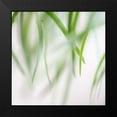 thumbnail image 2 of Poinski, Dianne 20x20 Black Modern Framed Museum Art Print Titled - Green Leaves 2, 2 of 5