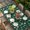 Dark Green, variant on St. Patrick's Day Table Cloths for 4 Foot Rectangle Tables, Dark Green Lucky Shamrock Leaves Spring Patio Waterproof Elastic Fitted Tablecloths, Washable Rectangular Table Cover for Camping