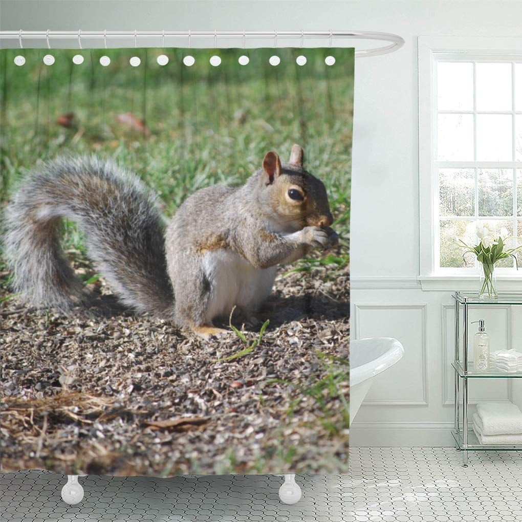 Wooden Hole American Red Squirrel Shower Curtain Set Bathroom Waterpoof Fabric Wooden Hole American Red Squirrel Shower Curtain Set Bathroom Waterpoof Fabric