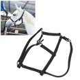 thumbnail image 1 of Harnais de Traction Réglable en Nylon pour Cheval, Accessoire de Tête de Cheval, 1 of 7