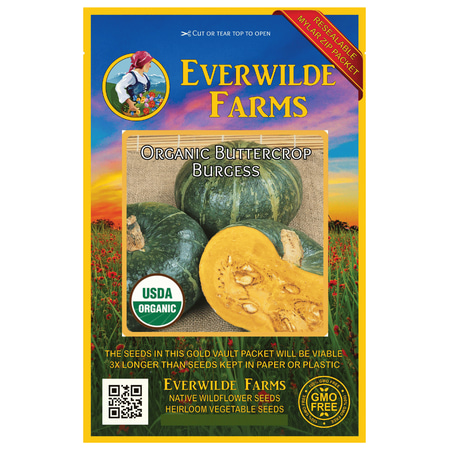 Burgess Seed And Plant Co Everwilde Farms - 20 Organic Buttercrop Burgess Winter Squash Seeds - Gold Vault Jumbo Bulk Seed Packet ()