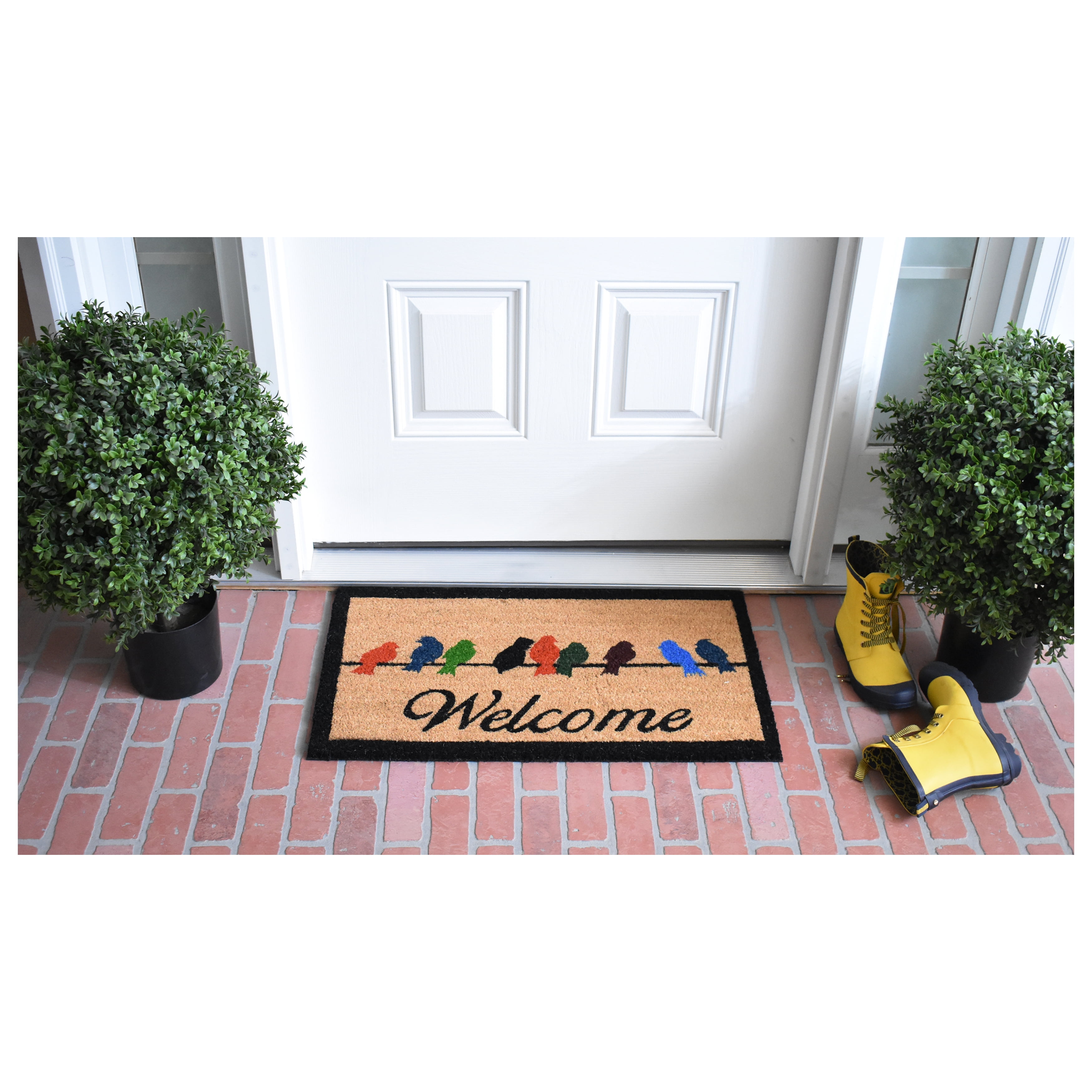 Calloway Mills Birds on a Wire Outdoor Doormat