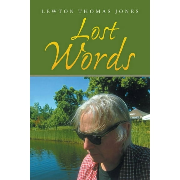 Lost Words (Paperback)