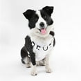 thumbnail image 6 of THE LICKER STORE Arlo Large Adjustable Soft Padded No Pull Pet Harness with 3 Buckles and 3 Leash Clips, White, HNS1003F, 6 of 8