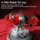 thumbnail image 4 of Oso de confesión de rosa de flores preservadas en cúpula de cristal, regalo para el día de San Valentín, día de la madre, cumpleaños, 4 of 5