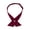 Wine Red, variant on Girls Uniform Tie School Uniform Bow Tie Adjustable Criss Neck Tie