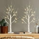 thumbnail image 3 of Set of 2-Vanthylit White Christmas Tree with Lights 2FT Tabletop Birch Tree with 24 Warm White LEDs Battery Operated Light up Twig Tree for Home Party, 3 of 5