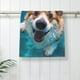 thumbnail image 5 of Balery Sea Swimming Corgi Toalla de Microfibra Premium con Estampado – 27.5x16 pulgadas, Alta Absorción, Suave y Aterciopelada, Secado Rápido, 5 of 6