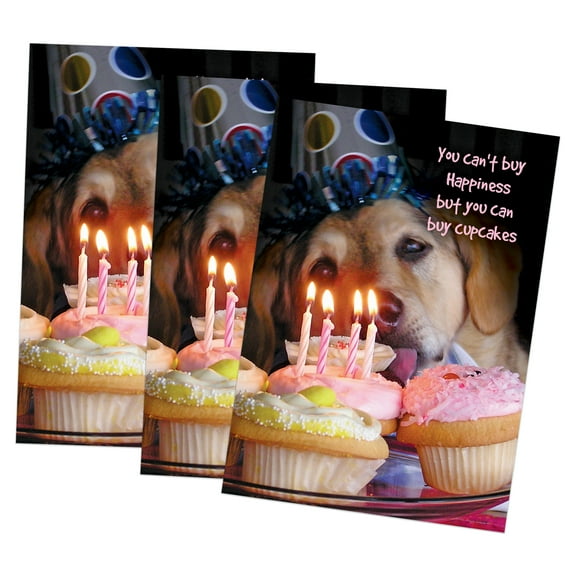 Funny Dog Birthday Greeting Card (5" x 7") by Paper Street | 3 Pack   3 Envelopes (Can't Buy Happiness)