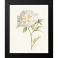 thumbnail image 2 of Nai, Danhui 15x18 Black Modern Framed Museum Art Print Titled - Garden Peony, 2 of 5