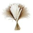 thumbnail image 4 of yuksok Natural Pampas Grass Bouquet Reed for Desk Photographing Flower Arrangements C, 4 of 9