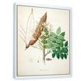 thumbnail image 3 of Designart 'Ancient Botanicals IX' Farmhouse Framed Canvas Wall Art Print, 3 of 5