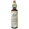 (3 Pack) Bach Flower Essences Flower Essence Rock Water 20 Ml