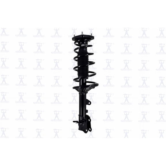 Suspension Strut and Coil Spring Assembly