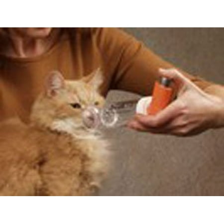 aerokat feline aerosol chamber