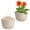 Beige, variant on 2 Pack Hanging Planters for Outdoor Indoor Plants, Plastic Plants Pot Wall Mounted, Hanging Flower Pots Plants Container with Hooks for Porch Railings Garden Balcony Patio(No plants)
