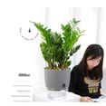 thumbnail image 5 of Flower Pot Self Watering Transparent Double Layer Plastic Flowerpot Cotton Rope Watering Small Plant Pot With Injection Port, 5 of 5