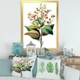 thumbnail image 3 of Designart 'American Vintage Flowers II' Traditional Framed Art Print, 3 of 4