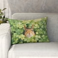 thumbnail image 3 of Happy Squirrel Welcome St Patrick's Day Lucky Shamrocks Clover Pillowcase Double Sided Pet Small Animal Lover Pillow Case Covers - 22001, 3 of 5