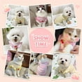 thumbnail image 2 of Monebena 2 Pack Striped Small Dog T Shirt Cute Cherry Girl Dog Clothes for Small Dogs Cats Breathable Soft Cotton Pet Puppy Sleeveless Vest Spring Summer Doggy Outfits（Pink+Yellow,Medium）, 2 of 7