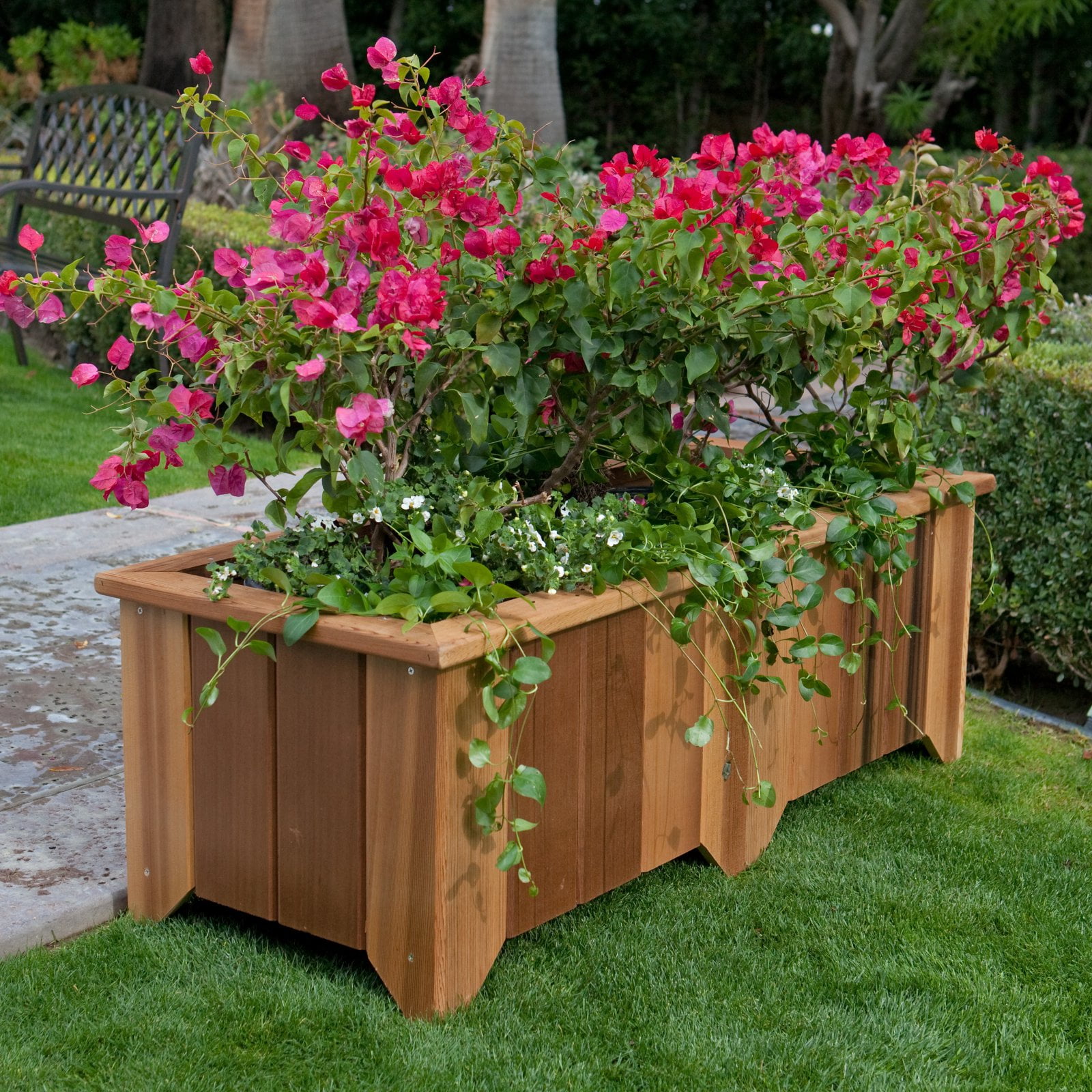 Wood Country Rectangle Cedar Wood Pocatello Planter by Wood Country