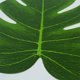 thumbnail image 5 of Toystoory 48 unids/set hoja de Monstera Artificial de bajo mantenimiento para decoración del hogar planta Artificial interior o exterior Decoración del hogar, 5 of 6