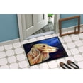 thumbnail image 4 of Carolines Treasures 7124MAT Tapis Intérieur Extérieur 18 x 27 Po. Saluki, 4 of 4