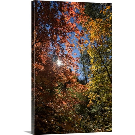 Great BIG Canvas Scott Stulberg Premium Thick-Wrap Canvas entitled Fall color in Sedona,