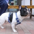 thumbnail image 4 of Dog Chest Harness Traction Rope, Breathable Pet Vest for Outdoor Walking Training Control for Medium Large Breeds Yellow S, 4 of 8