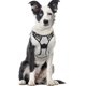 thumbnail image 2 of Cinturón de Seguridad para perros XL chaleco ajustable antitracción gris, adecuado para perros grandes, gancho de amarre delantero, para viajes en coche, empleados estadounidenses, collares de borde Zefei Wu 9024735027690, 2 of 5