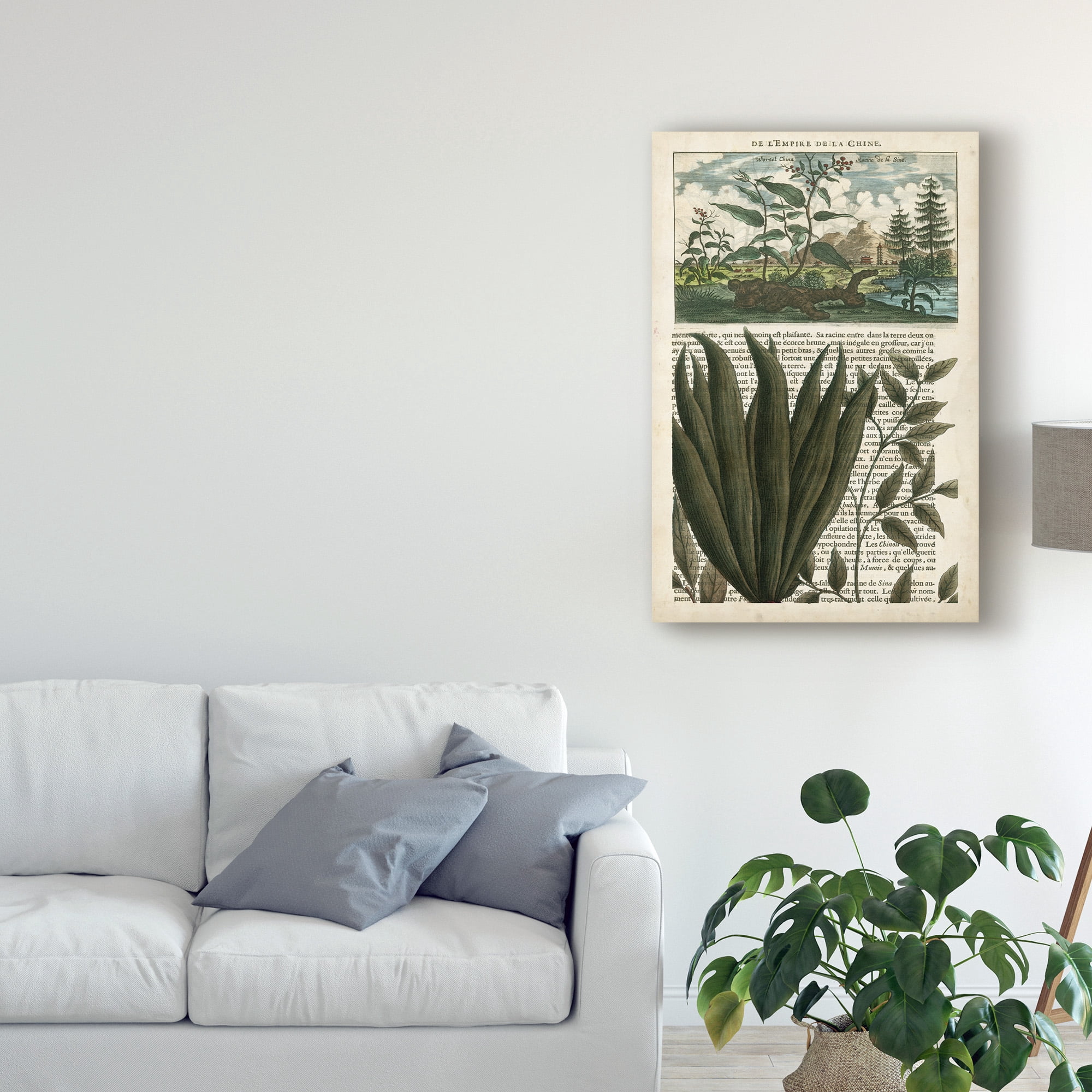 Trademark Fine Art 'Journal of the Tropics III' Canvas Art by Vision Studio