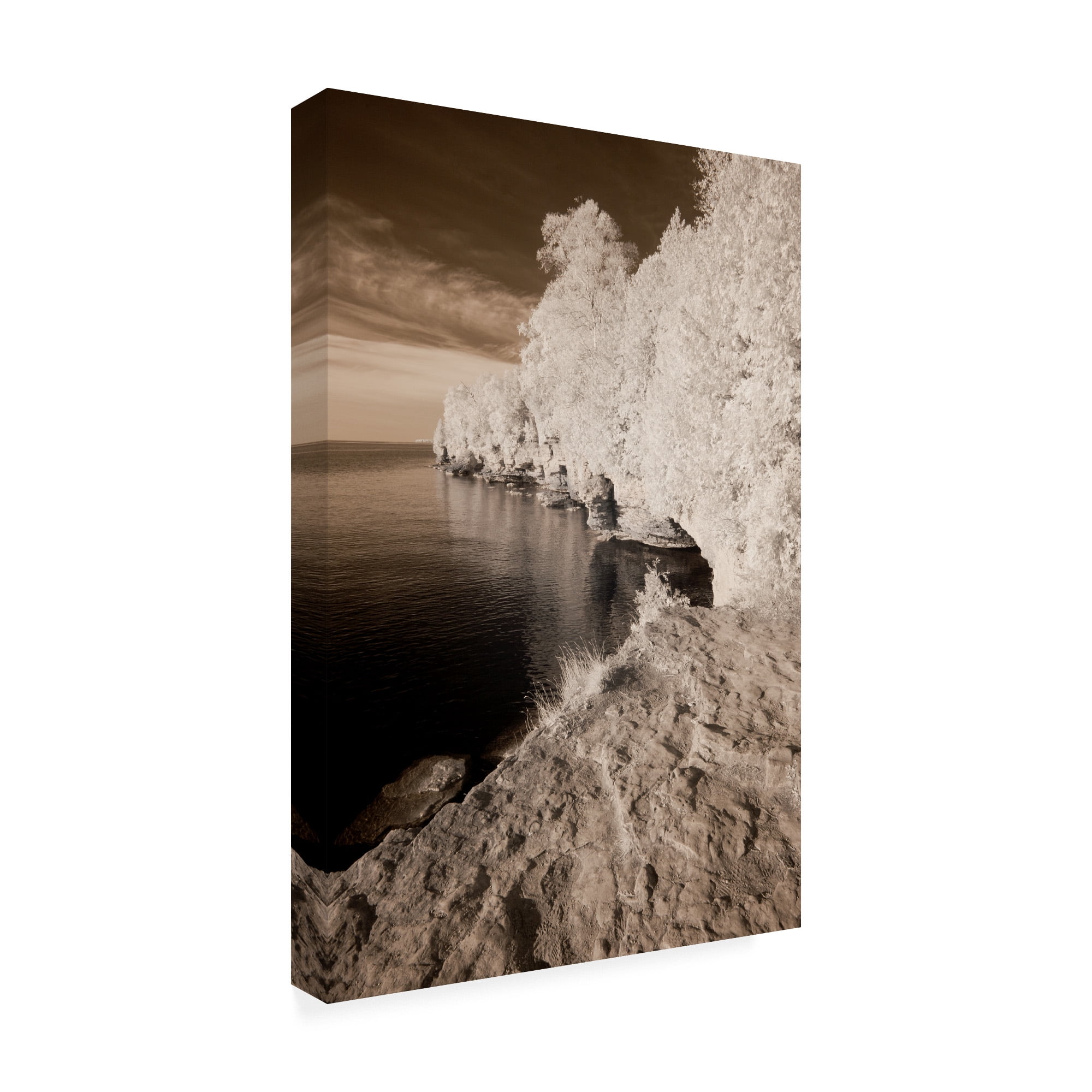 Trademark Fine Art 'Forest Coastline Sepia' Canvas Art by Monte Nagler