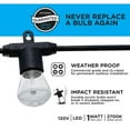 thumbnail image 3 of Enbrighten Color-Changing LED Bistro Lights, 24ft, 11 Watts, 12 Bulbs - 40393, 3 of 12