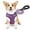Purple, variant on MoNiBloom No Pull Dog Harness with Leash, No Choke Reflective Pet Vest Adjustable Breathable Mesh Harnesses Dogs Walking, Purple M