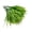 M, variant on Artificial Flowers Plastic Green Plants, 14 Inch Persian Simulation Fern Bouquet for Spring Autumn Wedding Home Office Indoor Outdoor Vase Garden Decoration Ciozy