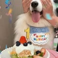thumbnail image 3 of Suministros de fiesta Bearachild para perros y gatos decoración de cumpleaños Azul 6 pulgadas, 3 of 6