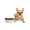 thumbnail image 5 of One Paw, Small Double Stainless Steel Dog Bowl, 1.3L (44 oz), for Dogs and Cats, 5 of 5
