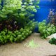 thumbnail image 1 of unbranded De Acuario Con Para Y Paisaje De Pecera, 1 of 8