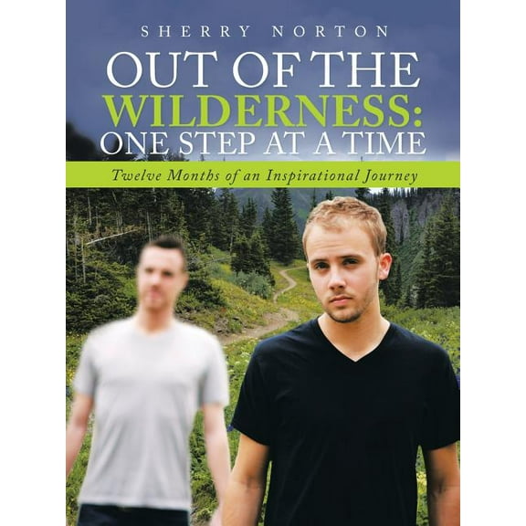 Out Of The Wilderness: One Step at a Time: Twelve Months of an Inspirational Journey (Paperback)