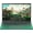Green, variant on Rumtuk 16" Green Laptop, 16GB RAM, 1TB SSD, Win 11 Pro/Office 2019, Pentium 6500Y, FHD IPS Display, Backlit KB, Fingerprint, USB 3.0,WiFi/BT, PC Notebook for Work, Study