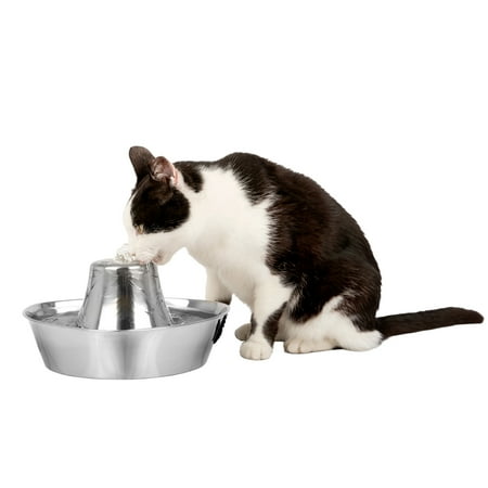PetSafe Seaside Stainless Pet Fountain, Automatic Dog and Cat Water Bowl, 60 oz
