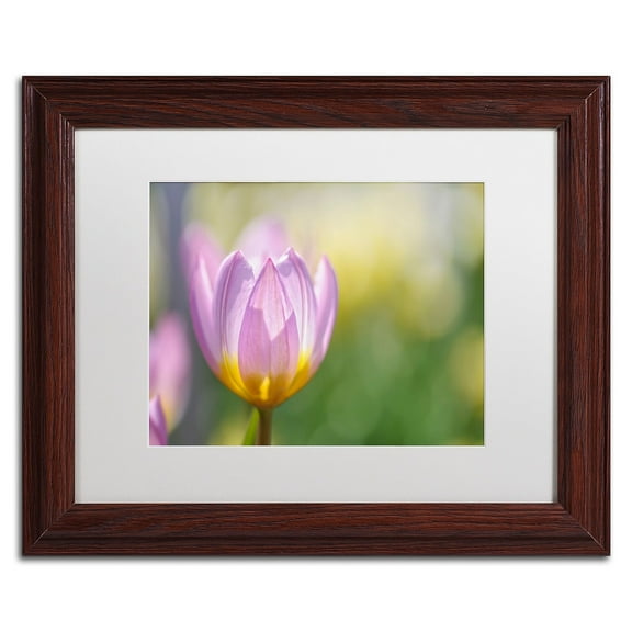Trademark Fine Art 'Tulip ?Lilac Wonder'' Canvas Art by Cora Niele, White Matte, Wood Frame