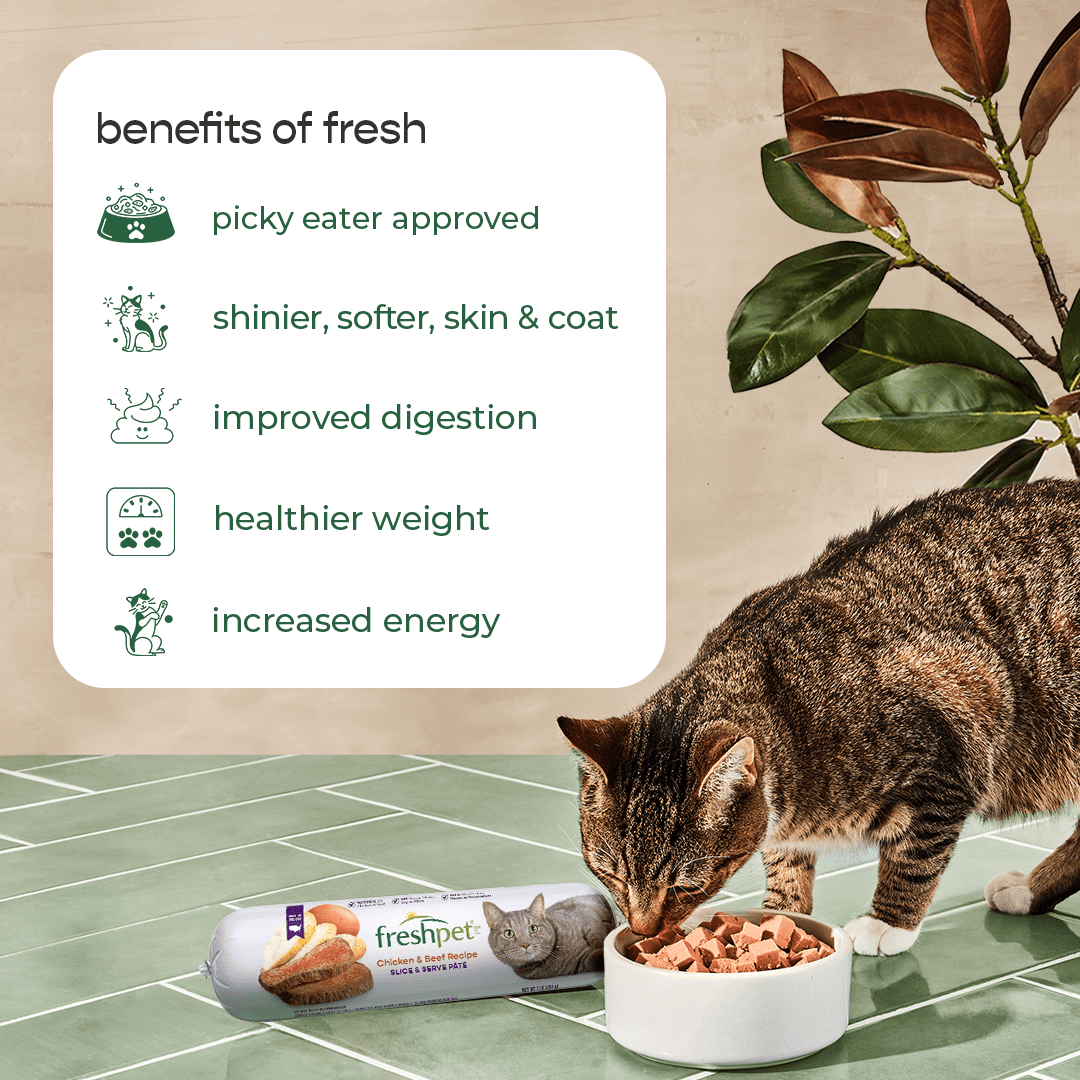Freshpet Fresh Cat Food, Tender Chicken Recipe, Tender Bites Freshly Roasted Meal 1 lb.