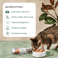 thumbnail image 6 of Freshpet Fresh Cat Food, Tender Chicken Recipe, Tender Bites Freshly Roasted Meal 1 lb., 6 of 8